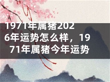1971年属猪2026年运势怎么样,1971年属猪今年运势