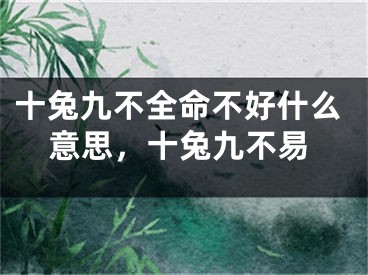 十兔九不全命不好什么意思，十兔九不易