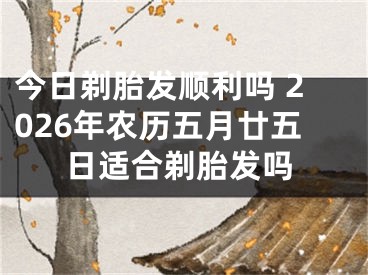 今日剃胎发顺利吗 2026年农历五月廿五日适合剃胎发吗