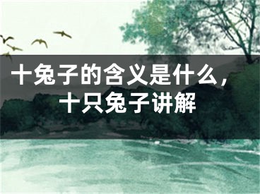 十兔子的含义是什么，十只兔子讲解
