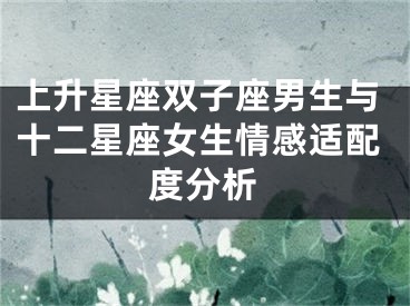 上升星座双子座男生与十二星座女生情感适配度分析