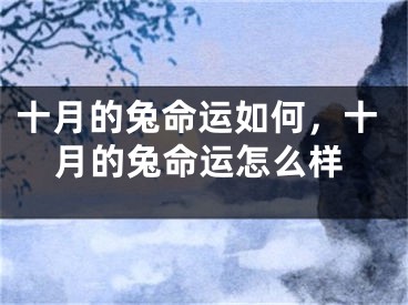 十月的兔命运如何，十月的兔命运怎么样