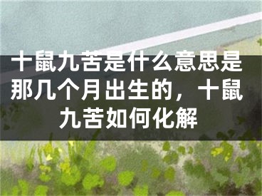 十鼠九苦是什么意思是那几个月出生的，十鼠九苦如何化解