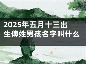 2025年五月十三出生傅姓男孩名字叫什么