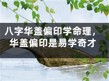 八字华盖偏印学命理，华盖偏印是易学奇才