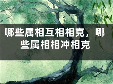 哪些属相互相相克，哪些属相相冲相克