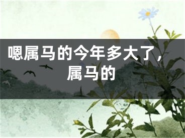 嗯属马的今年多大了，属马的