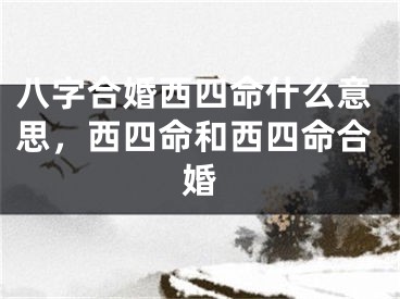 八字合婚西四命什么意思，西四命和西四命合婚