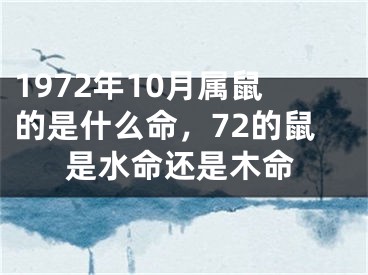 1972年10月属鼠的是什么命，72的鼠是水命还是木命