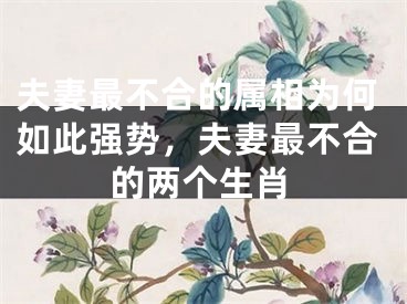 夫妻最不合的属相为何如此强势,夫妻最不合的两个生肖