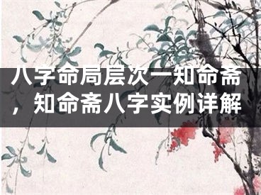 八字命局层次一知命斋，知命斋八字实例详解