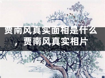 贾南风真实面相是什么,贾南风真实相片