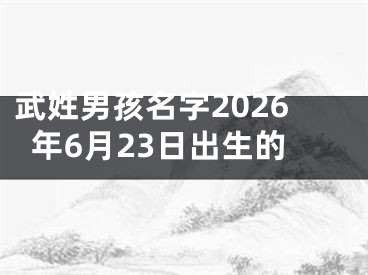 武姓男孩名字2026年6月23日出生的