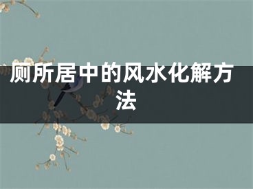 厕所居中的风水化解方法