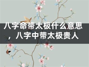 八字命带太极什么意思,八字中带太极贵人