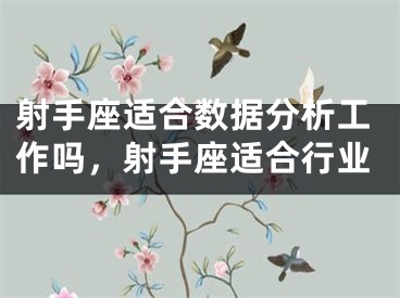 射手座适合数据分析工作吗,射手座适合行业