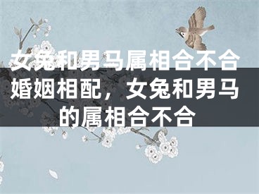 女兔和男马属相合不合婚姻相配,女兔和男马的属相合不合