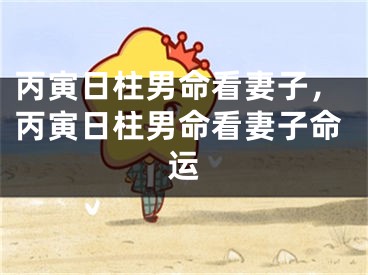 丙寅日柱男命看妻子,丙寅日柱男命看妻子命运