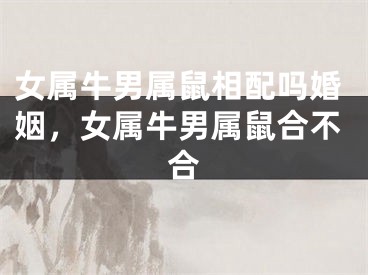 女属牛男属鼠相配吗婚姻,女属牛男属鼠合不合