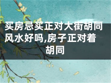 买房忌买正对大街胡同风水好吗,房子正对着胡同