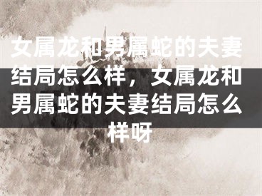 女属龙和男属蛇的夫妻结局怎么样，女属龙和男属蛇的夫妻结局怎么样呀