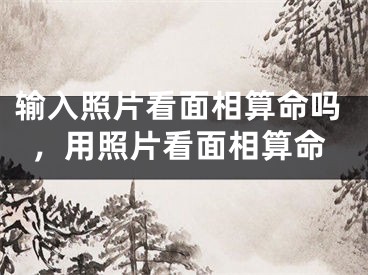 输入照片看面相算命吗,用照片看面相算命