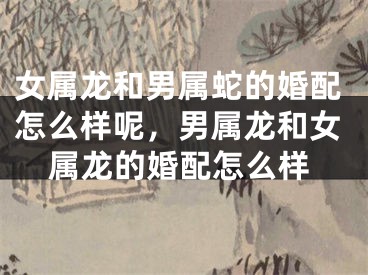 女属龙和男属蛇的婚配怎么样呢,男属龙和女属龙的婚配怎么样