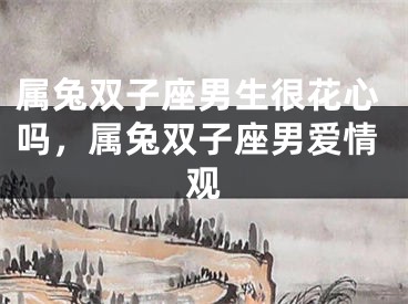 属兔双子座男生很花心吗,属兔双子座男爱情观