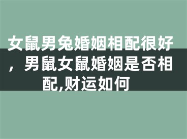 女鼠男兔婚姻相配很好,男鼠女鼠婚姻是否相配,财运如何