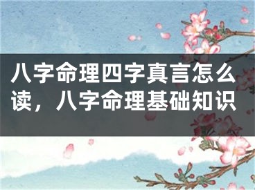 八字命理四字真言怎么读,八字命理基础知识