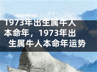 1973年出生属牛人本命年，1973年出生属牛人本命年运势