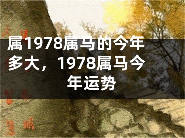 属1978属马的今年多大,1978属马今年运势