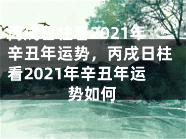丙戌日柱看2021年辛丑年运势,丙戌日柱看2021年辛丑年运势如何