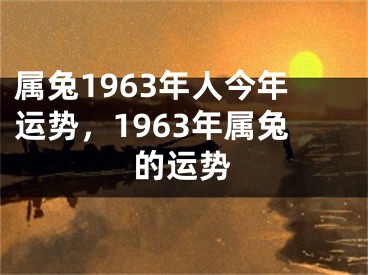 属兔1963年人今年运势,1963年属兔的运势