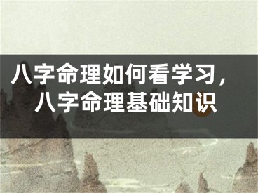 八字命理如何看学习,八字命理基础知识
