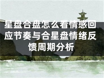 星盘合盘怎么看情感回应节奏与合星盘情绪反馈周期分析