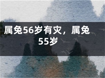 属兔56岁有灾,属兔55岁
