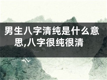 男生八字清纯是什么意思,八字很纯很清