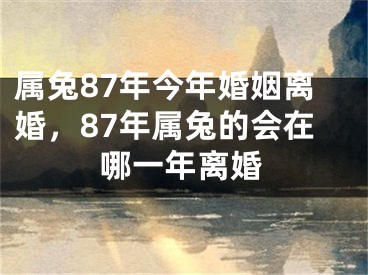 属兔87年今年婚姻离婚,87年属兔的会在哪一年离婚