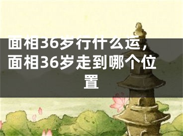 面相36岁行什么运,面相36岁走到哪个位置