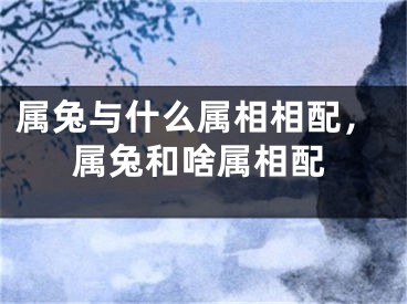 属兔与什么属相相配，属兔和啥属相配
