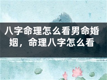 八字命理怎么看男命婚姻,命理八字怎么看