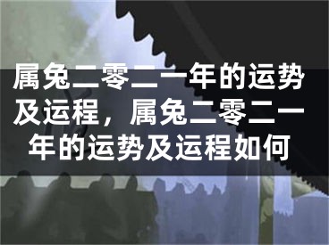 属兔二零二一年的运势及运程，属兔二零二一年的运势及运程如何