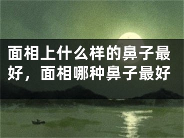 面相上什么样的鼻子最好,面相哪种鼻子最好
