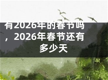 有2026年的春节吗,2026年春节还有多少天