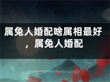 属兔人婚配啥属相最好,属兔人婚配