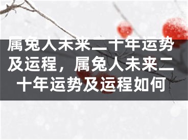 属兔人未来二十年运势及运程,属兔人未来二十年运势及运程如何