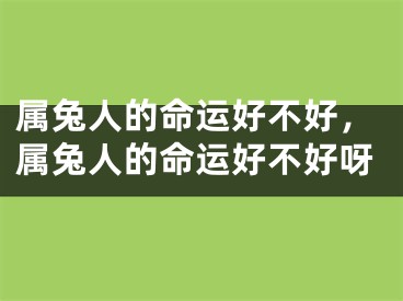属兔人的命运好不好,属兔人的命运好不好呀