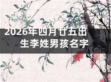 2026年四月廿五出生李姓男孩名字