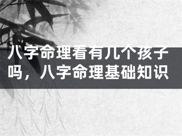八字命理看有几个孩子吗,八字命理基础知识
